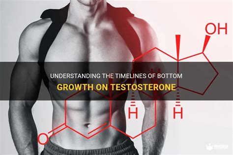 bottom growth meaning|Understanding Bottom Growth on Testosterone: A。